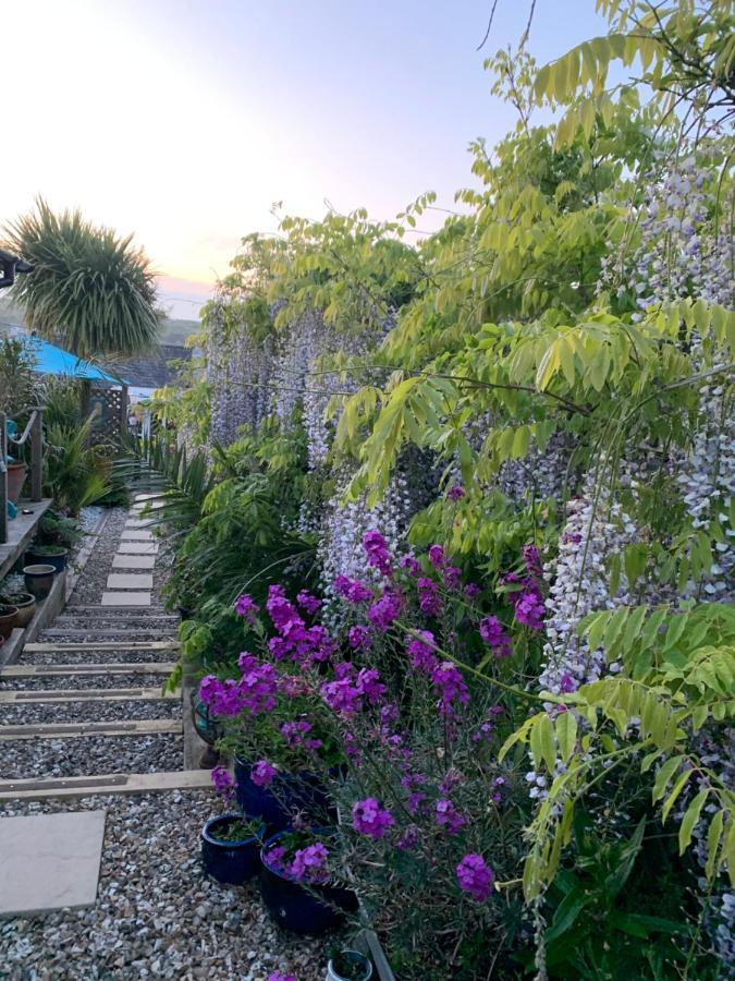 شقة Stargazy Garden هايلي المظهر الخارجي الصورة